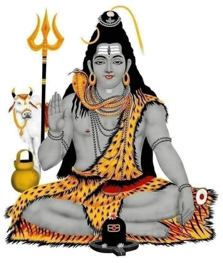 1 मुखी रुद्राक्ष (शिव के और करीब जाएँ 🕉️)