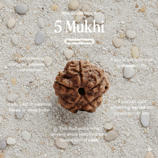 Nepali 5 Mukhi Rudraksha | Peace & Prosperity