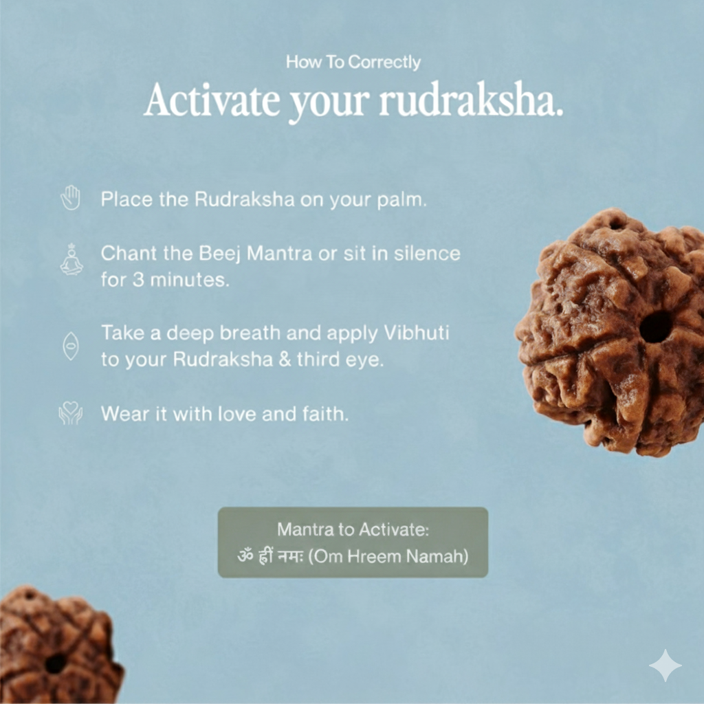 5 मुखी रुद्राक्ष | शांति और समृद्धि