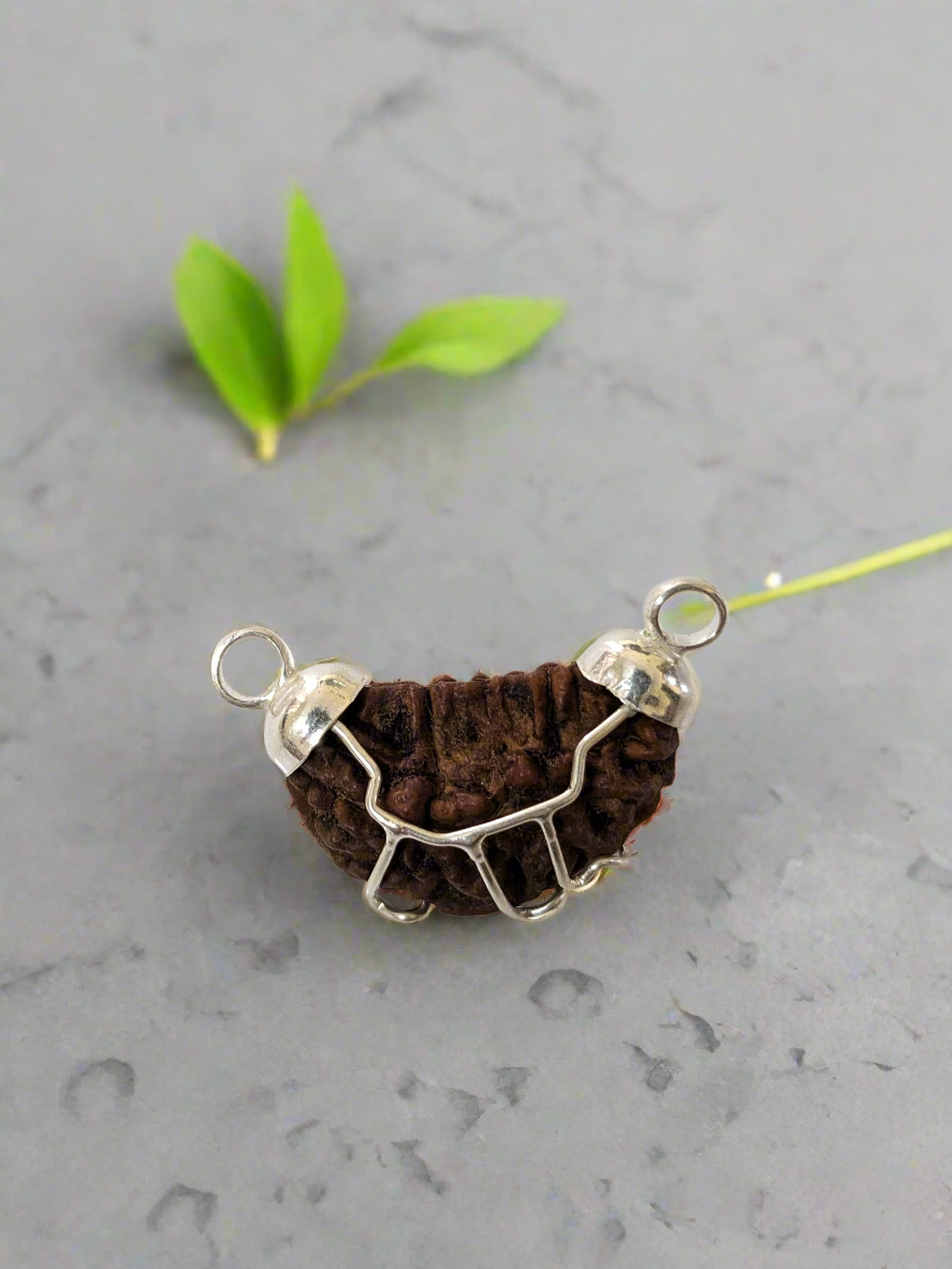 1 मुखी रुद्राक्ष (शिव के और करीब जाएँ 🕉️)