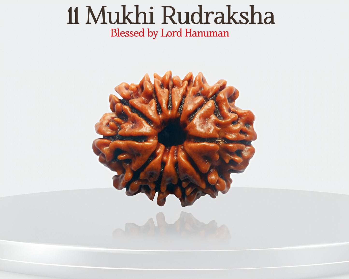 11 मुखी रुद्राक्ष 💪 अपनी वास्तविक आंतरिक शक्ति को उजागर करें 🌟