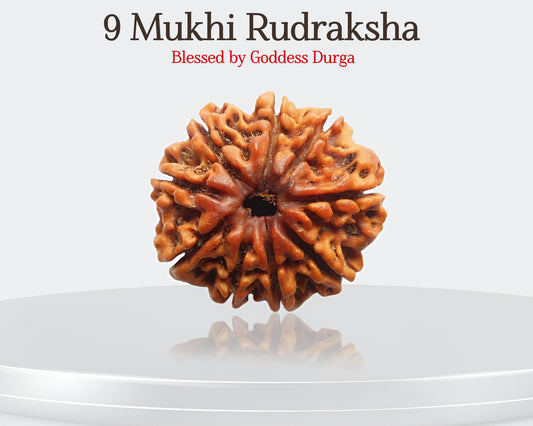 9 मुखी रुद्राक्ष🌺 अपनी आंतरिक शक्ति और आध्यात्मिक शक्ति को उजागर करें 🌟