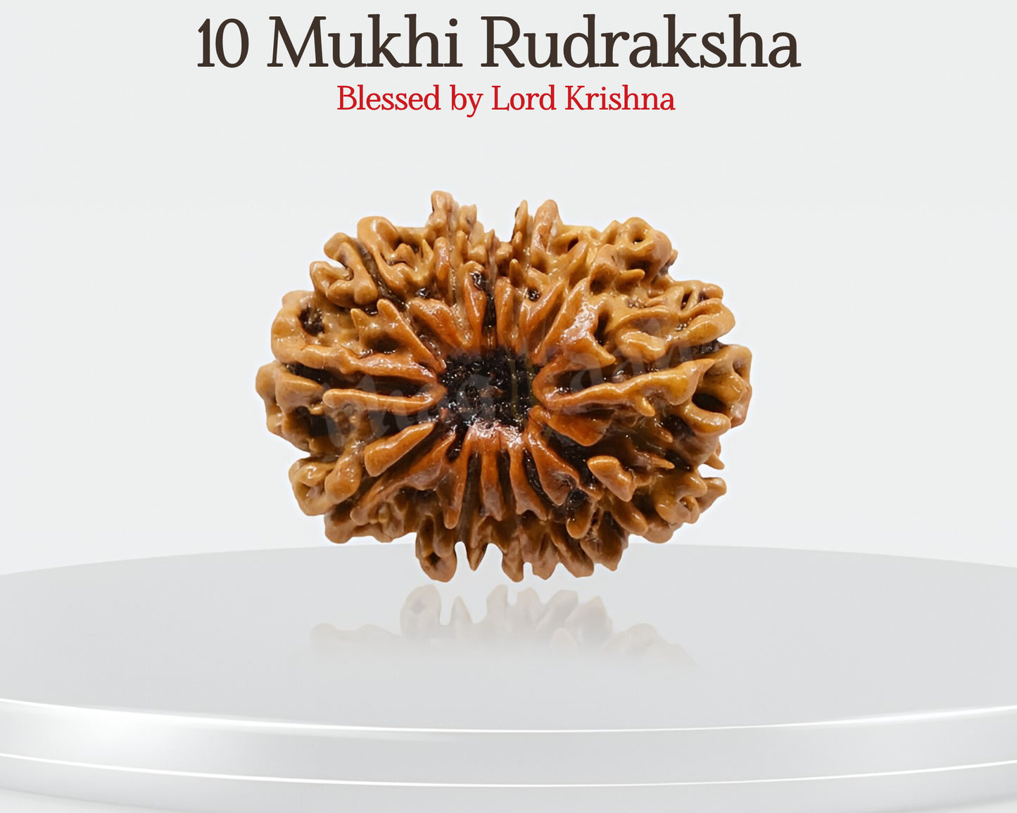 10 मुखी रुद्राक्ष 🌟 विष्णु और कृष्ण के आशीर्वाद से सफलता और शांति प्राप्त करें! 🛡️✨