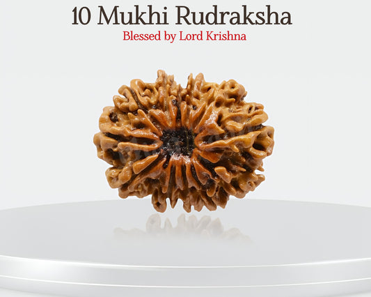 10 मुखी रुद्राक्ष 🌟 विष्णु और कृष्ण के आशीर्वाद से सफलता और शांति प्राप्त करें! 🛡️✨