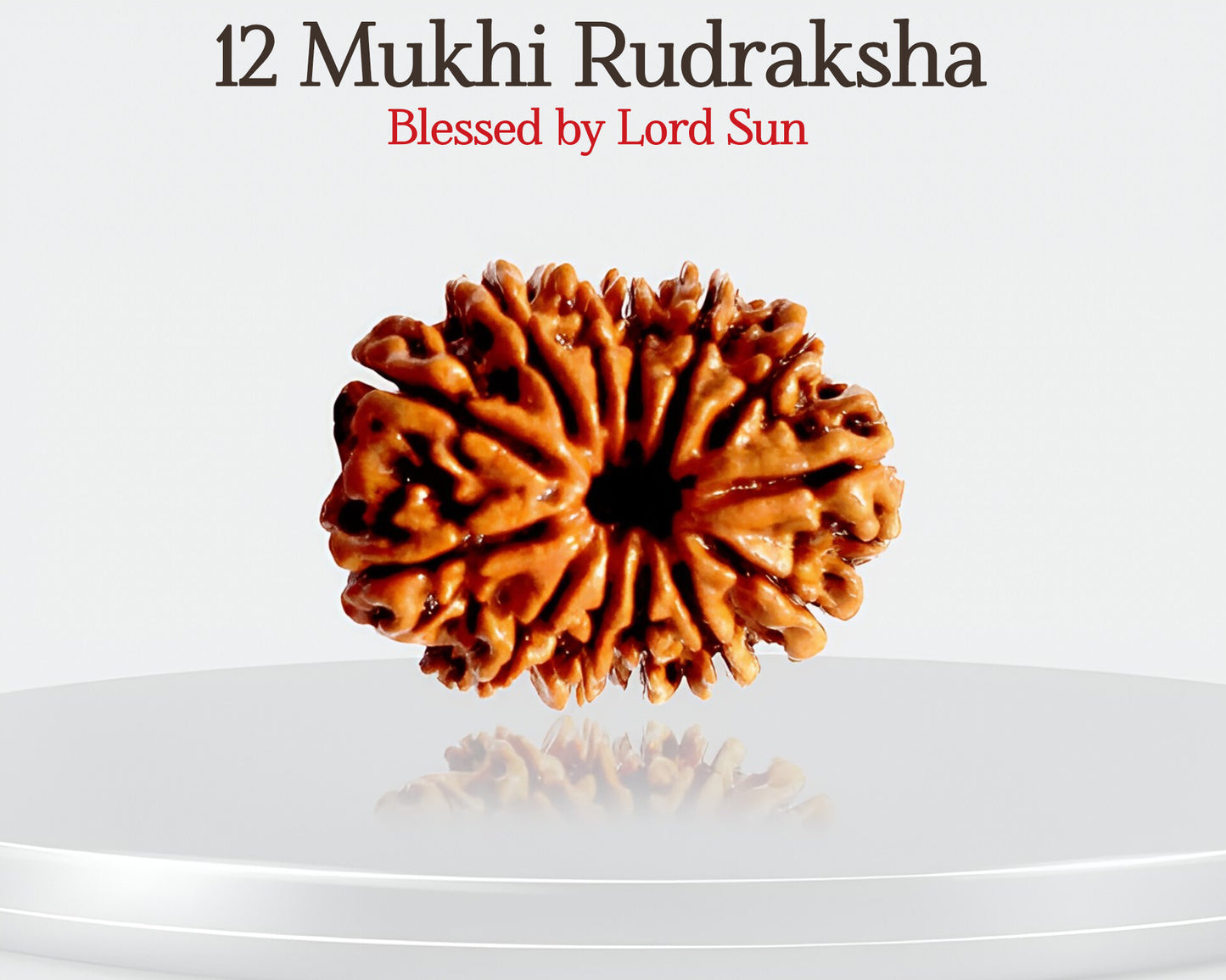 12 मुखी रुद्राक्ष ☀️ चमकें और आत्मविश्वास के साथ नेतृत्व करें! 🌟