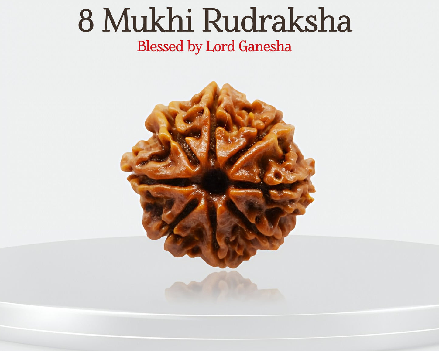 8 मुखी रुद्राक्ष 🌟 सुरक्षा और समृद्धि को अपनाएं 🛡️✨